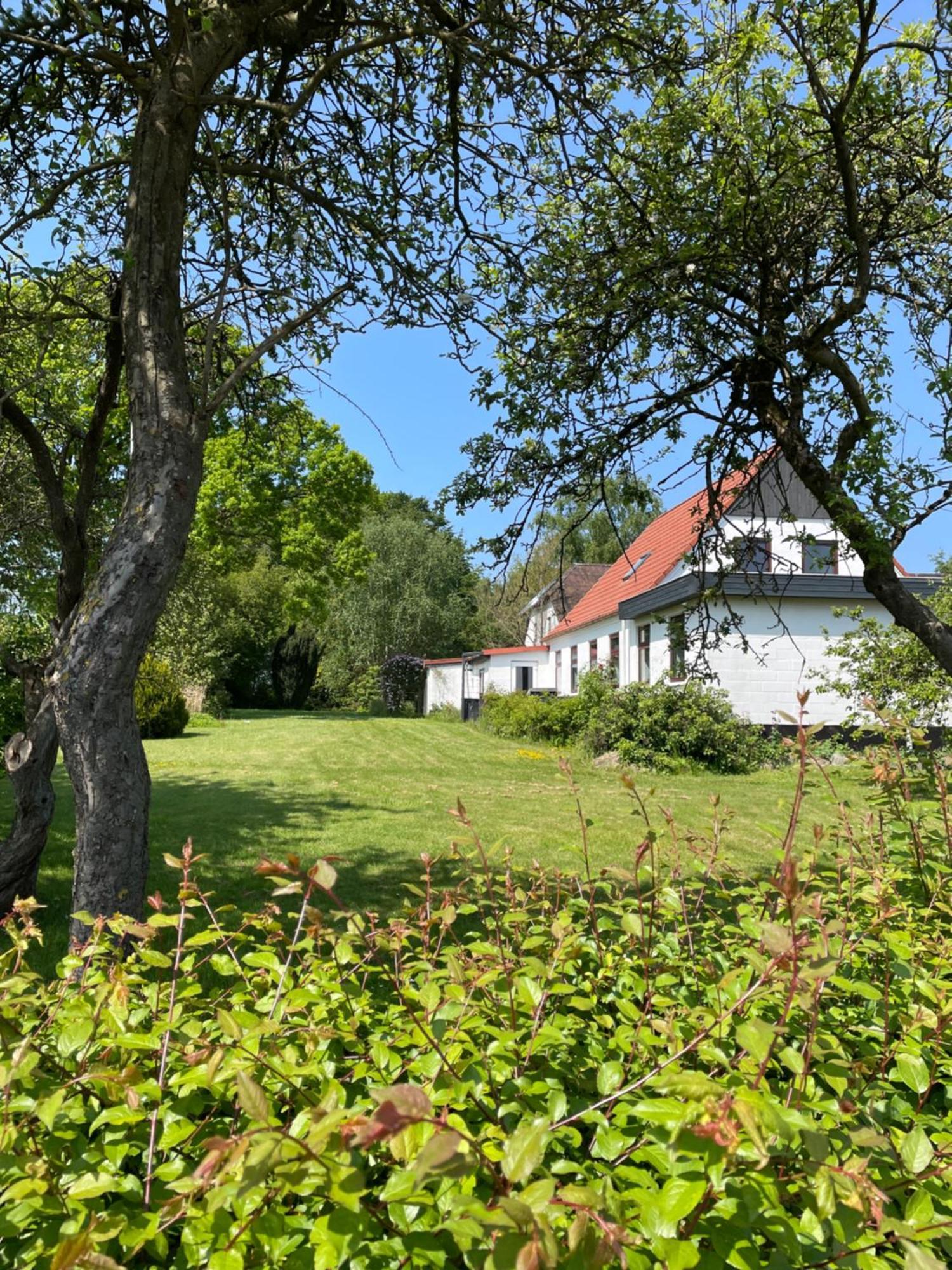Berits Bed And Breakfast Haderslev Exterior photo