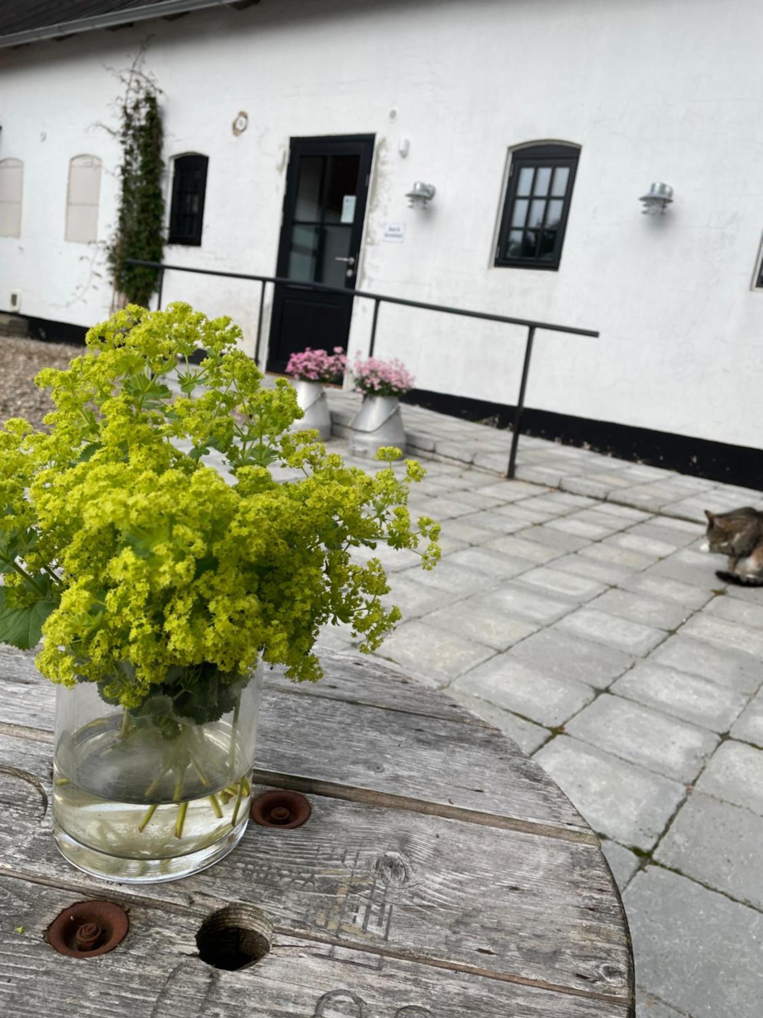 Berits Bed And Breakfast Haderslev Exterior photo